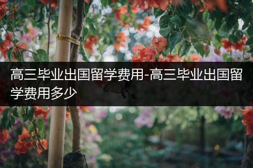 高三毕业出国留学费用-高三毕业出国留学费用多少