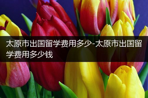 太原市出国留学费用多少-太原市出国留学费用多少钱