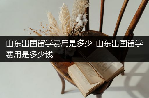 山东出国留学费用是多少-山东出国留学费用是多少钱