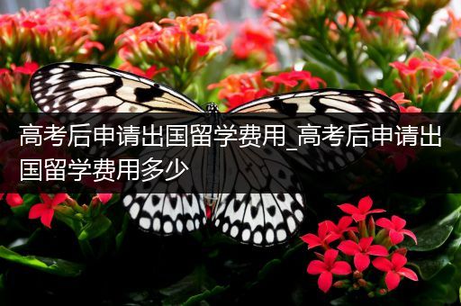 高考后申请出国留学费用_高考后申请出国留学费用多少