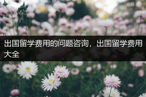 出国留学费用的问题咨询，出国留学费用大全