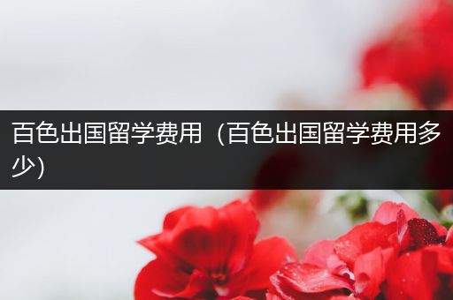 百色出国留学费用（百色出国留学费用多少）