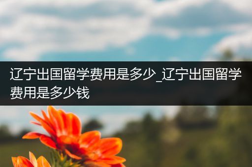 辽宁出国留学费用是多少_辽宁出国留学费用是多少钱