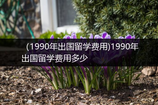 （1990年出国留学费用)1990年出国留学费用多少