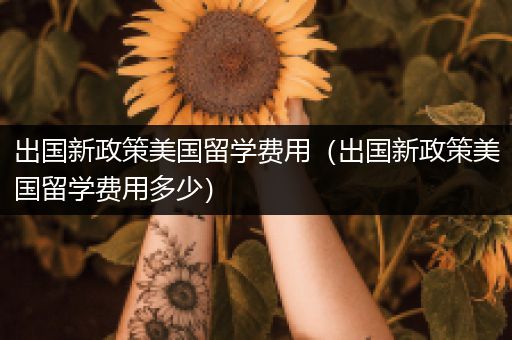 出国新政策美国留学费用（出国新政策美国留学费用多少）