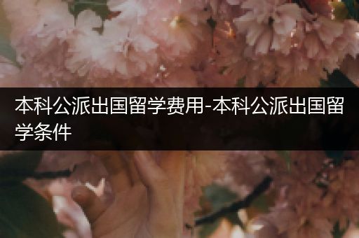本科公派出国留学费用-本科公派出国留学条件