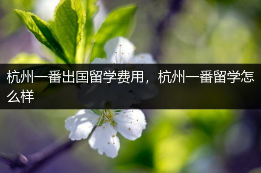 杭州一番出国留学费用，杭州一番留学怎么样