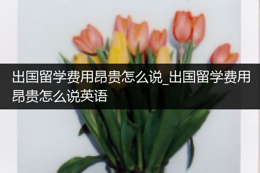 出国留学费用昂贵怎么说_出国留学费用昂贵怎么说英语