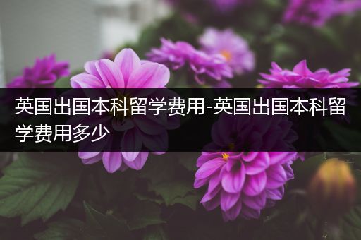 英国出国本科留学费用-英国出国本科留学费用多少
