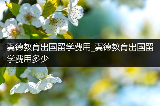翼德教育出国留学费用_翼德教育出国留学费用多少