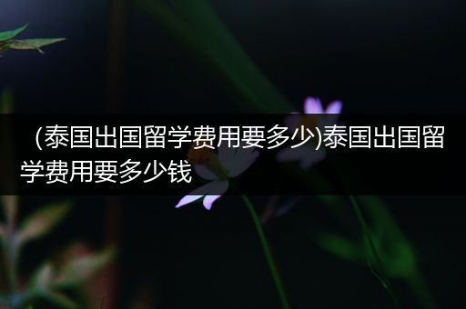 （泰国出国留学费用要多少)泰国出国留学费用要多少钱