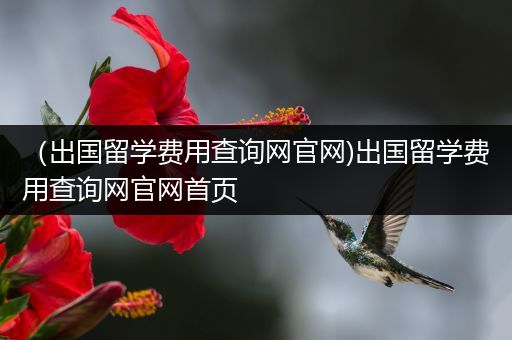 （出国留学费用查询网官网)出国留学费用查询网官网首页