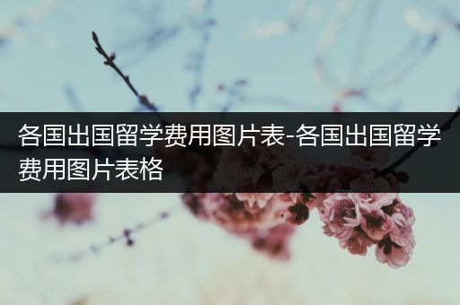 各国出国留学费用图片表-各国出国留学费用图片表格