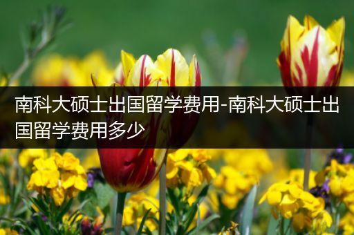 南科大硕士出国留学费用-南科大硕士出国留学费用多少