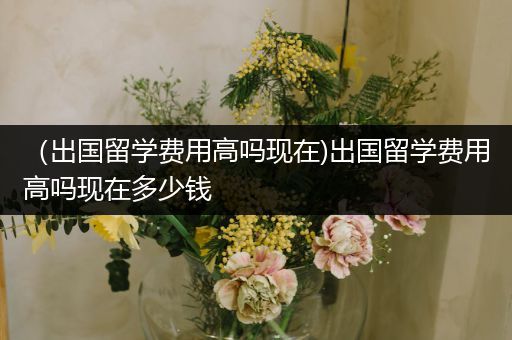 （出国留学费用高吗现在)出国留学费用高吗现在多少钱
