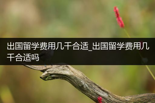 出国留学费用几千合适_出国留学费用几千合适吗