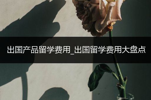 出国产品留学费用_出国留学费用大盘点