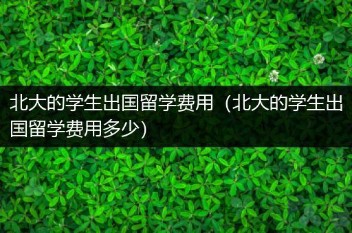 北大的学生出国留学费用（北大的学生出国留学费用多少）