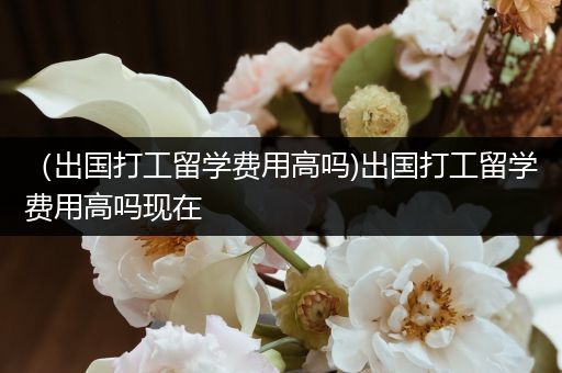 （出国打工留学费用高吗)出国打工留学费用高吗现在
