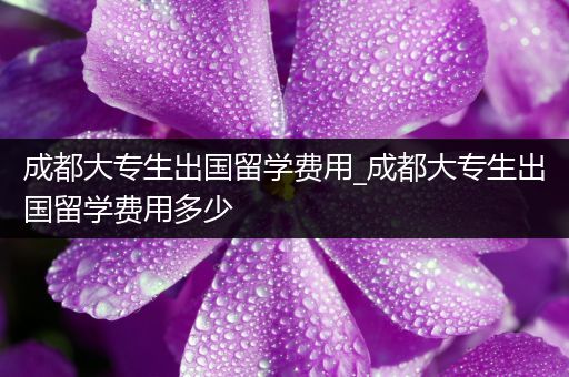 成都大专生出国留学费用_成都大专生出国留学费用多少
