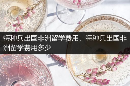 特种兵出国非洲留学费用，特种兵出国非洲留学费用多少
