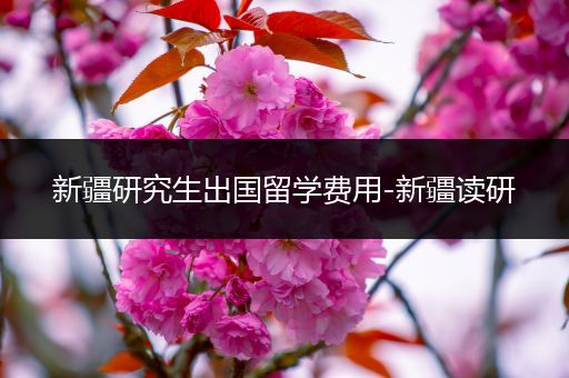 新疆研究生出国留学费用-新疆读研