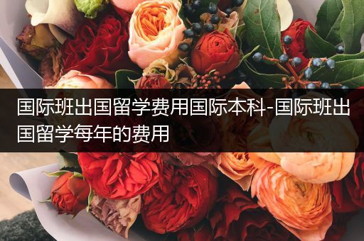 国际班出国留学费用国际本科-国际班出国留学每年的费用