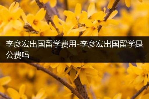 李彦宏出国留学费用-李彦宏出国留学是公费吗