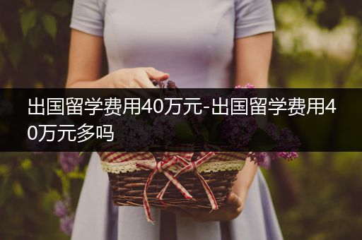 出国留学费用40万元-出国留学费用40万元多吗