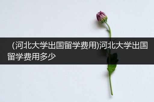（河北大学出国留学费用)河北大学出国留学费用多少