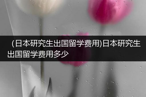 （日本研究生出国留学费用)日本研究生出国留学费用多少