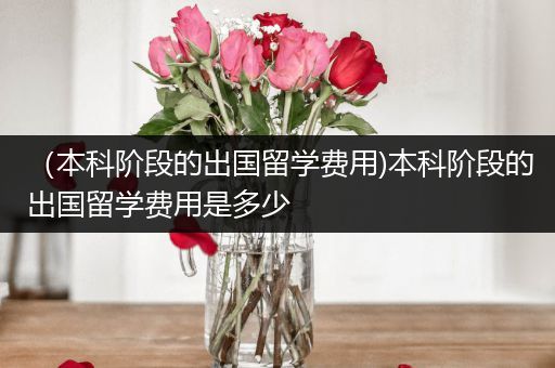 （本科阶段的出国留学费用)本科阶段的出国留学费用是多少