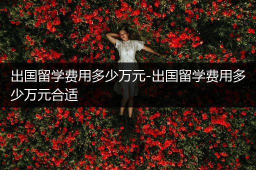 出国留学费用多少万元-出国留学费用多少万元合适