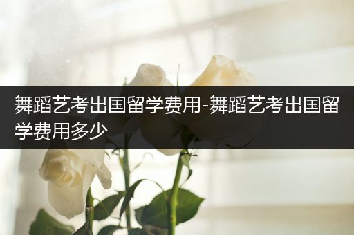 舞蹈艺考出国留学费用-舞蹈艺考出国留学费用多少