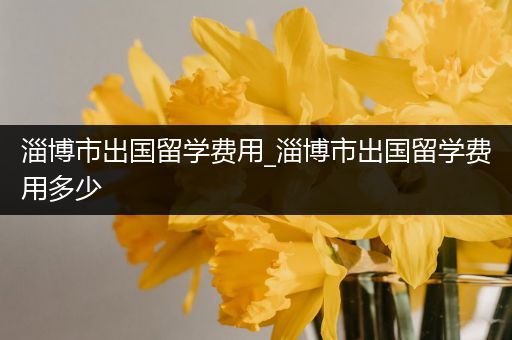 淄博市出国留学费用_淄博市出国留学费用多少