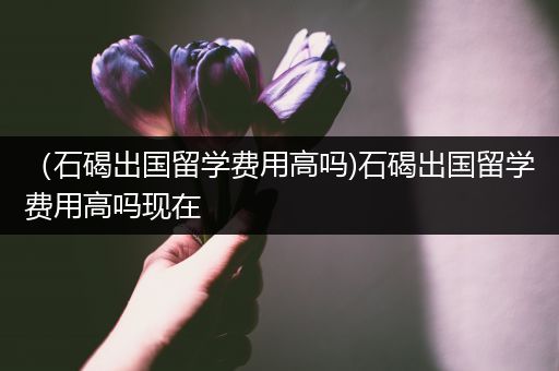（石碣出国留学费用高吗)石碣出国留学费用高吗现在