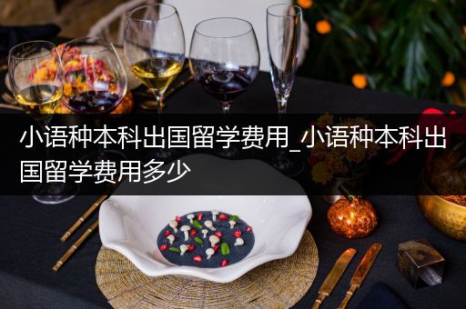 小语种本科出国留学费用_小语种本科出国留学费用多少