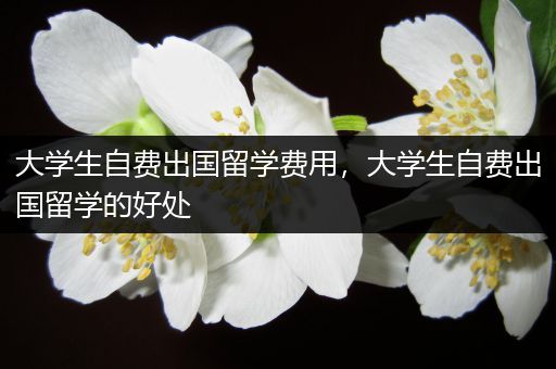 大学生自费出国留学费用，大学生自费出国留学的好处