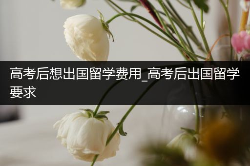 高考后想出国留学费用_高考后出国留学要求