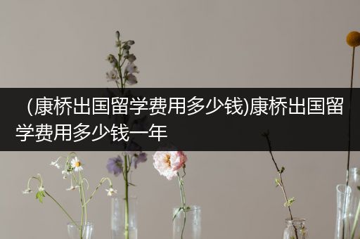 （康桥出国留学费用多少钱)康桥出国留学费用多少钱一年