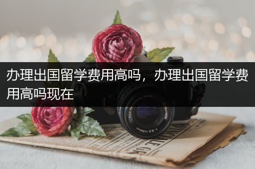 办理出国留学费用高吗，办理出国留学费用高吗现在