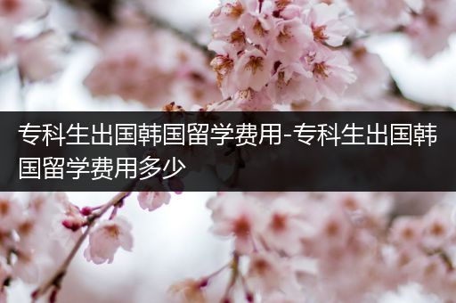 专科生出国韩国留学费用-专科生出国韩国留学费用多少