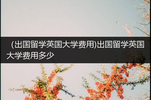 （出国留学英国大学费用)出国留学英国大学费用多少
