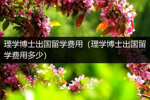 理学博士出国留学费用（理学博士出国留学费用多少）