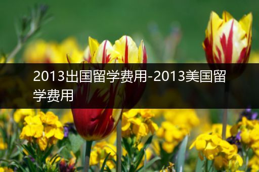 2013出国留学费用-2013美国留学费用