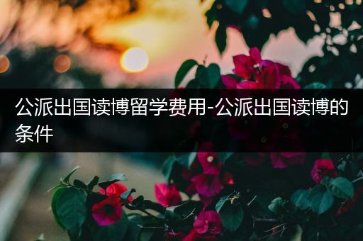 公派出国读博留学费用-公派出国读博的条件