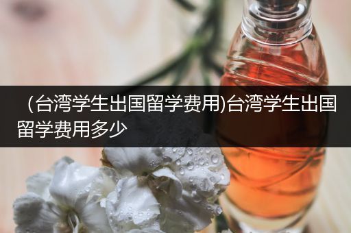 （台湾学生出国留学费用)台湾学生出国留学费用多少