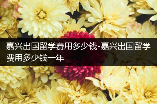 嘉兴出国留学费用多少钱-嘉兴出国留学费用多少钱一年