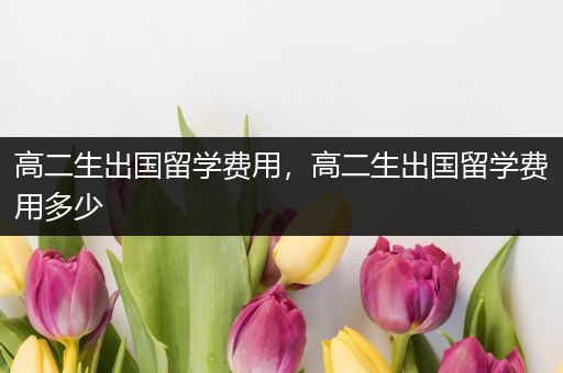 高二生出国留学费用，高二生出国留学费用多少