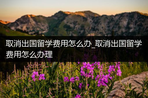 取消出国留学费用怎么办_取消出国留学费用怎么办理